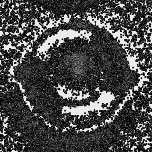 Handful of Earth (Effect)