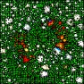 Artistic : Virtual Microcosmos