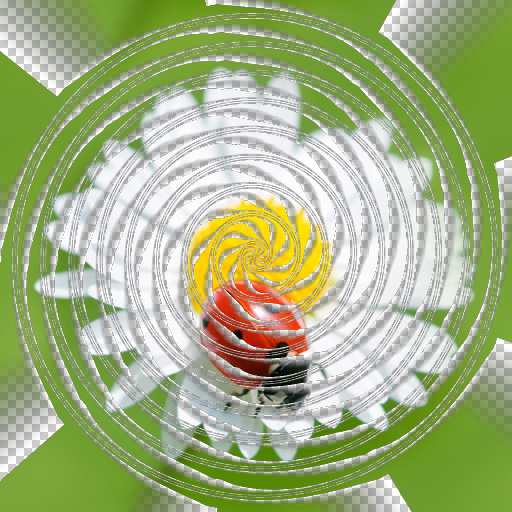 Variation 6