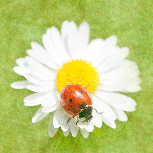 Variation 4