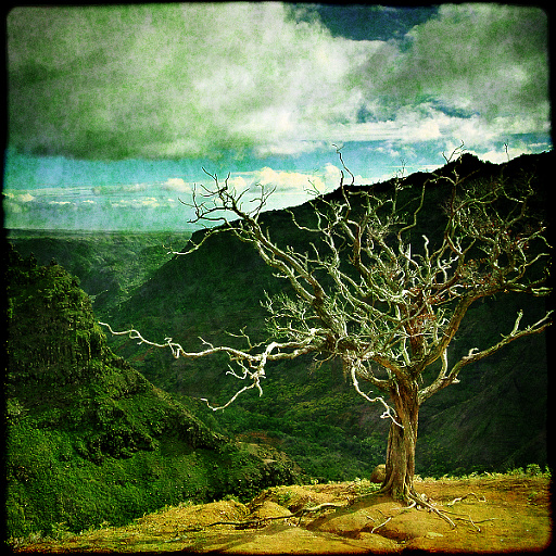Variation 5