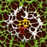 3D Reflective Webs Photo Effect