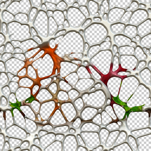 Variation 7