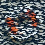 Animals : Fishy