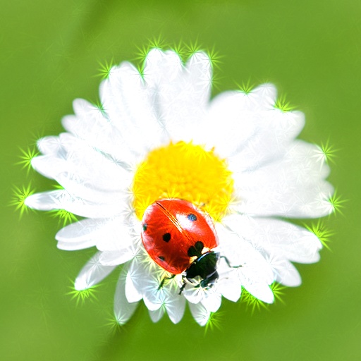 Variation 6