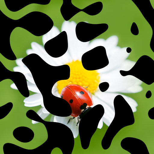 Diffuse Map