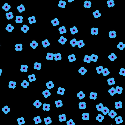 Variation 5