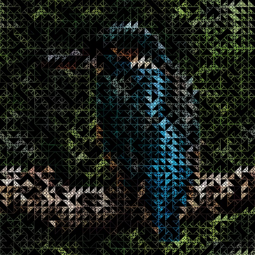 Variation 5