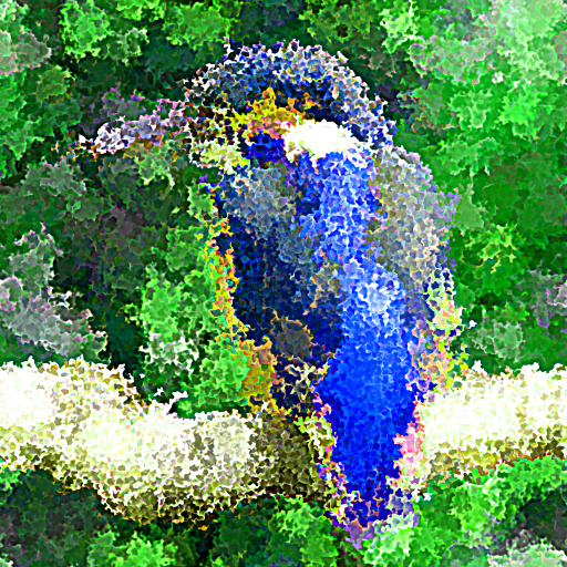 Variation 3
