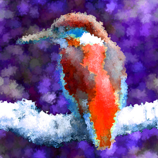 Variation 6