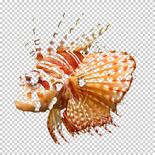 Variation 8