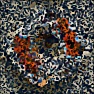 Artistic : New Hexagonist