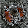 Artistic : Hexagonal Rose