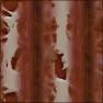 Biotubes2