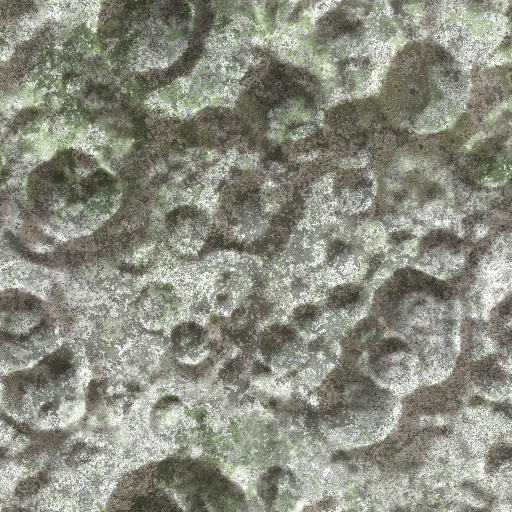 Variation 8