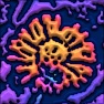 3D Reflective Colorful Ridges & Contours Photo Effect