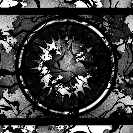 Reflective Occlusion Map