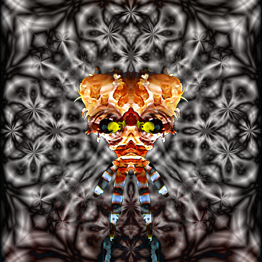 Variation 3