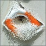 Cell Eplosion