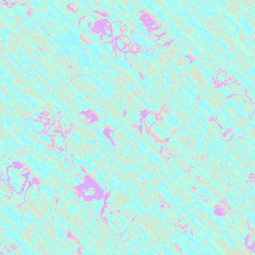 Variation 4
