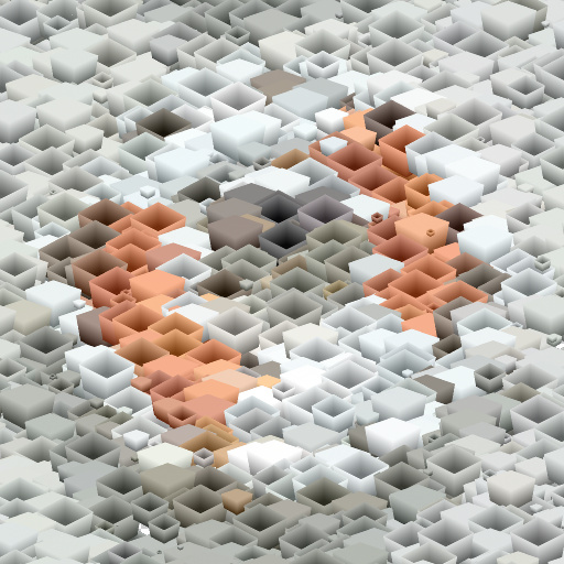 Variation 5