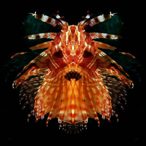 FishInsects 2 (Effect)