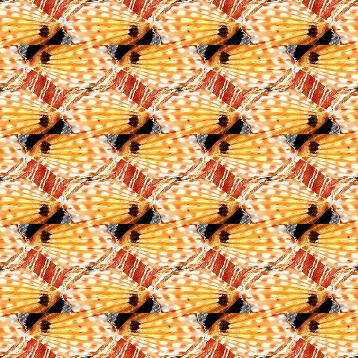 Wallpaper Group 2 p2 by Rachel Duim