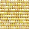 Corn Texture