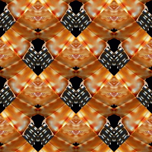 Variation 6
