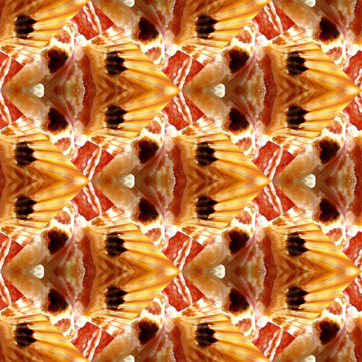 Variation 7