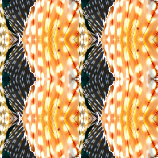 Variation 1