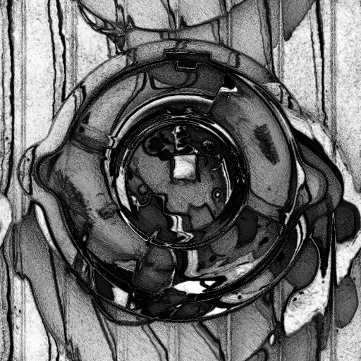 Ambient Occlusion Map