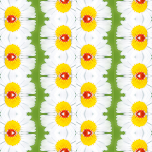 Variation 2