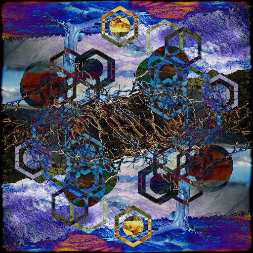 Variation 5