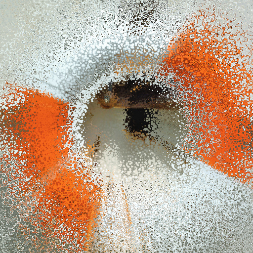 Variation 8
