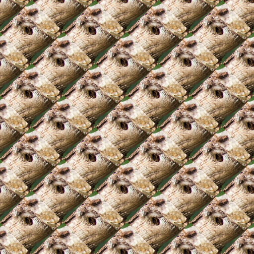 Variation 1