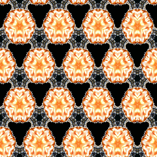 Variation 8