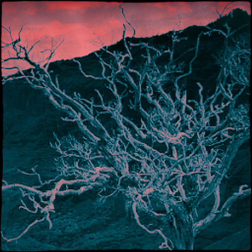 Variation 8