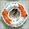 Artistic : Rounded 3-6
