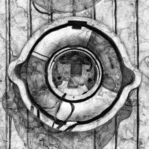 Ambient Occlusion Map