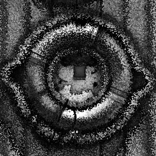Ambient Occlusion Map