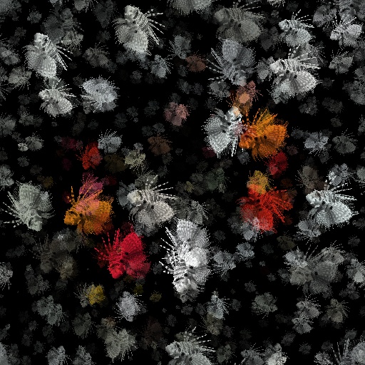 Variation 8