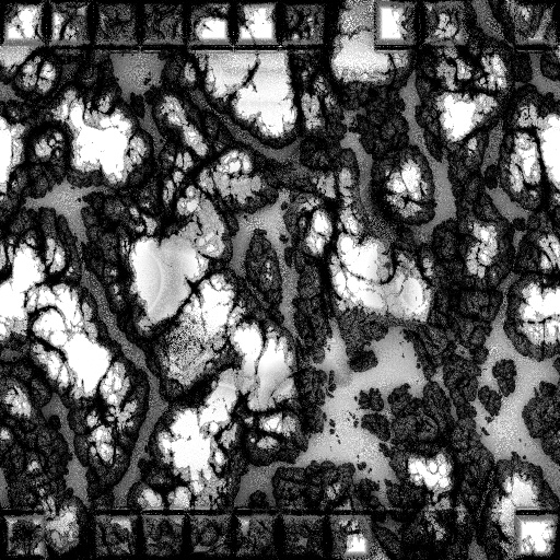 Ambient Occlusion Map