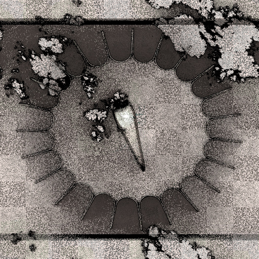 Variation 6
