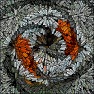 Artistic : Deep Cube 6