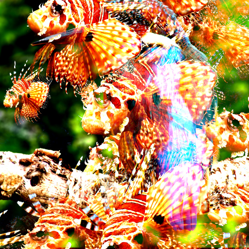 Variation 1