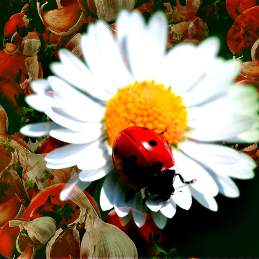 Variation 4