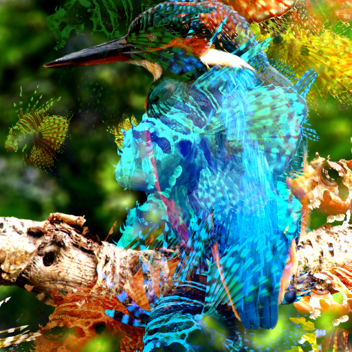 Variation 7