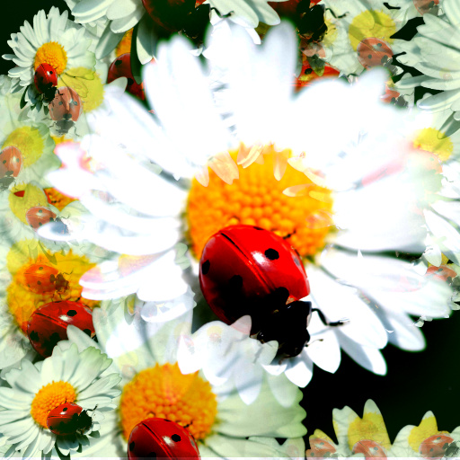 Dreaming, Moderately (Effect)