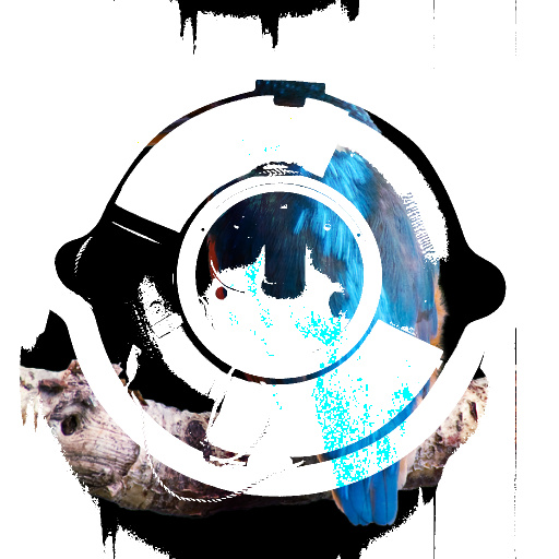 Variation 4